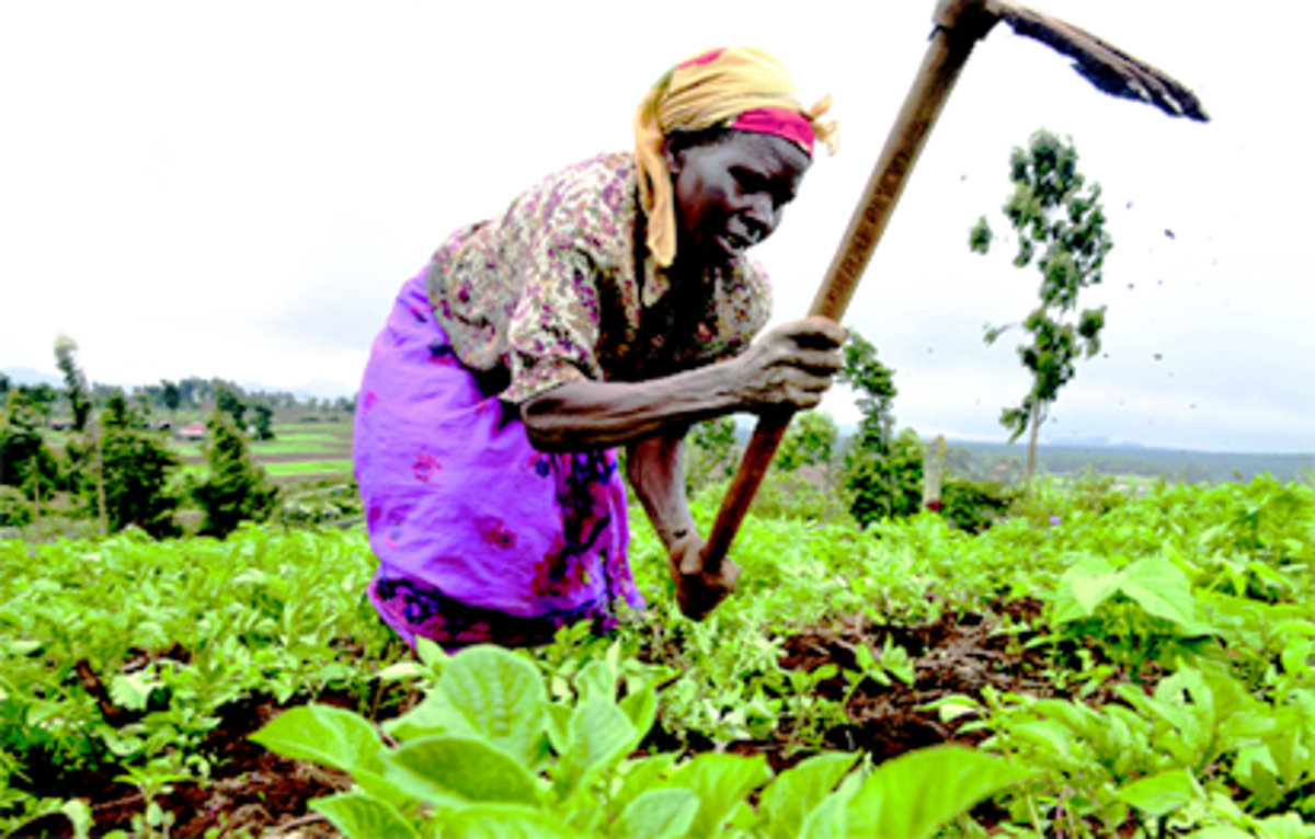 Fertiliser Scam: Farmers call on Gov. Ganduje to probe actors