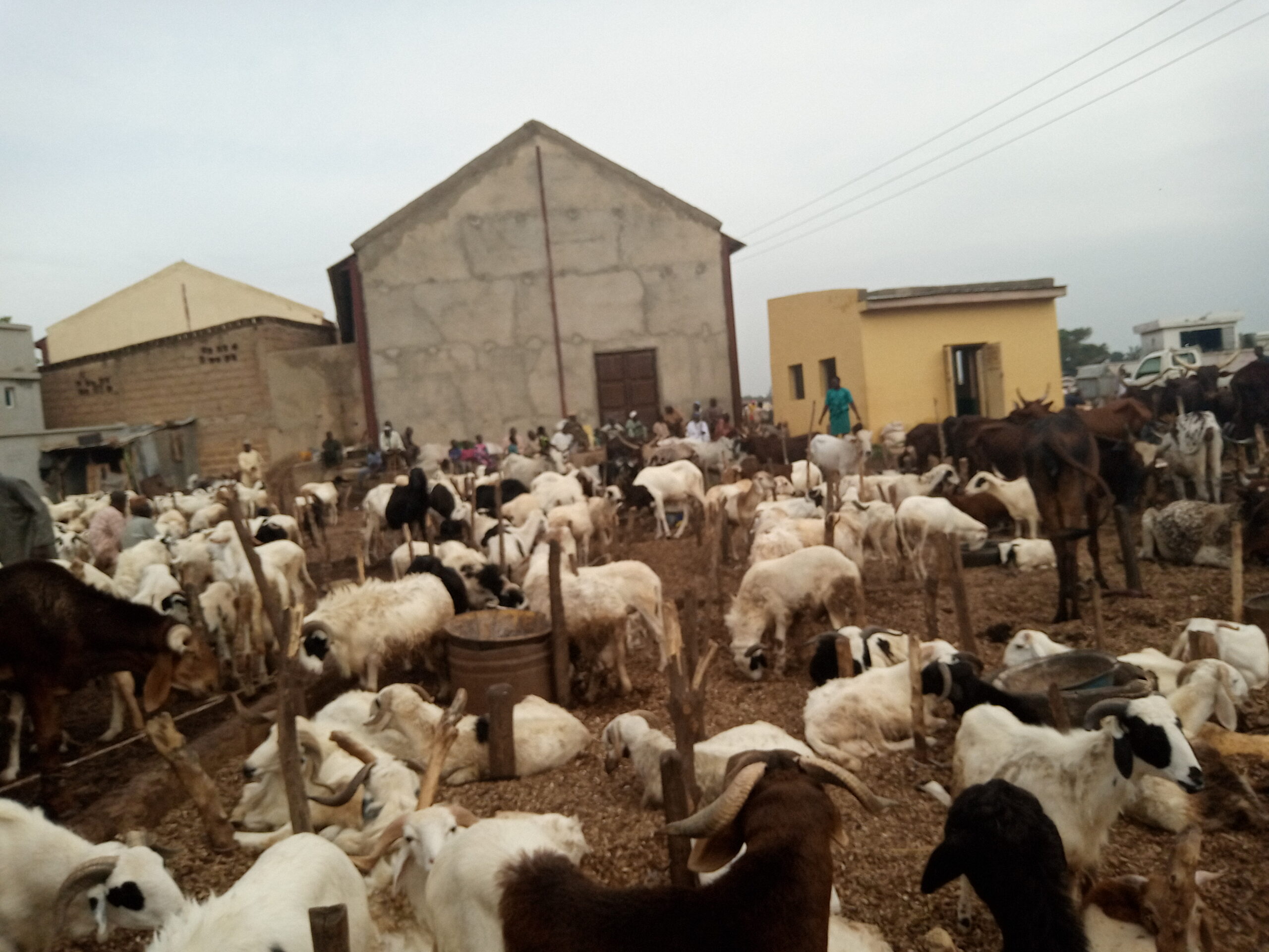 IMG 20200727 164436 8 0ddb580971e79843a274683add05ac24 scaled - Sallah: Cost of food items, livestock drop