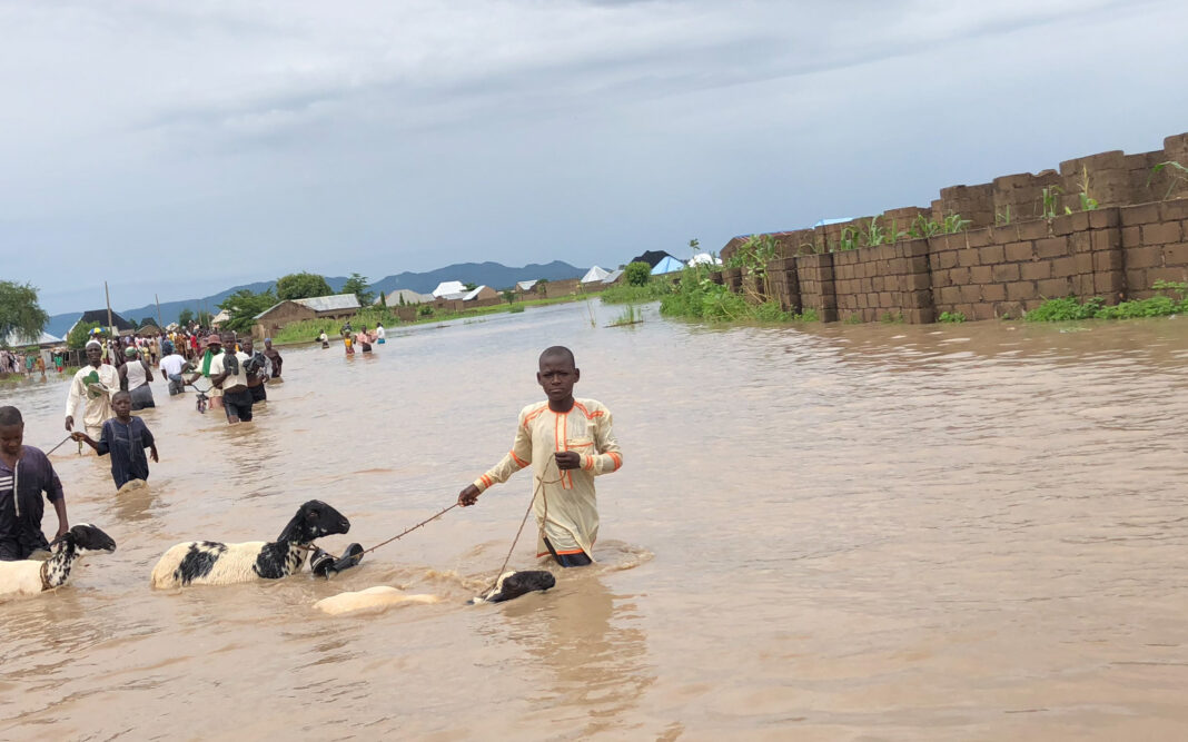 Kebbi State now like the Atlantic Ocean, Deputy Gov. laments during flood inspection