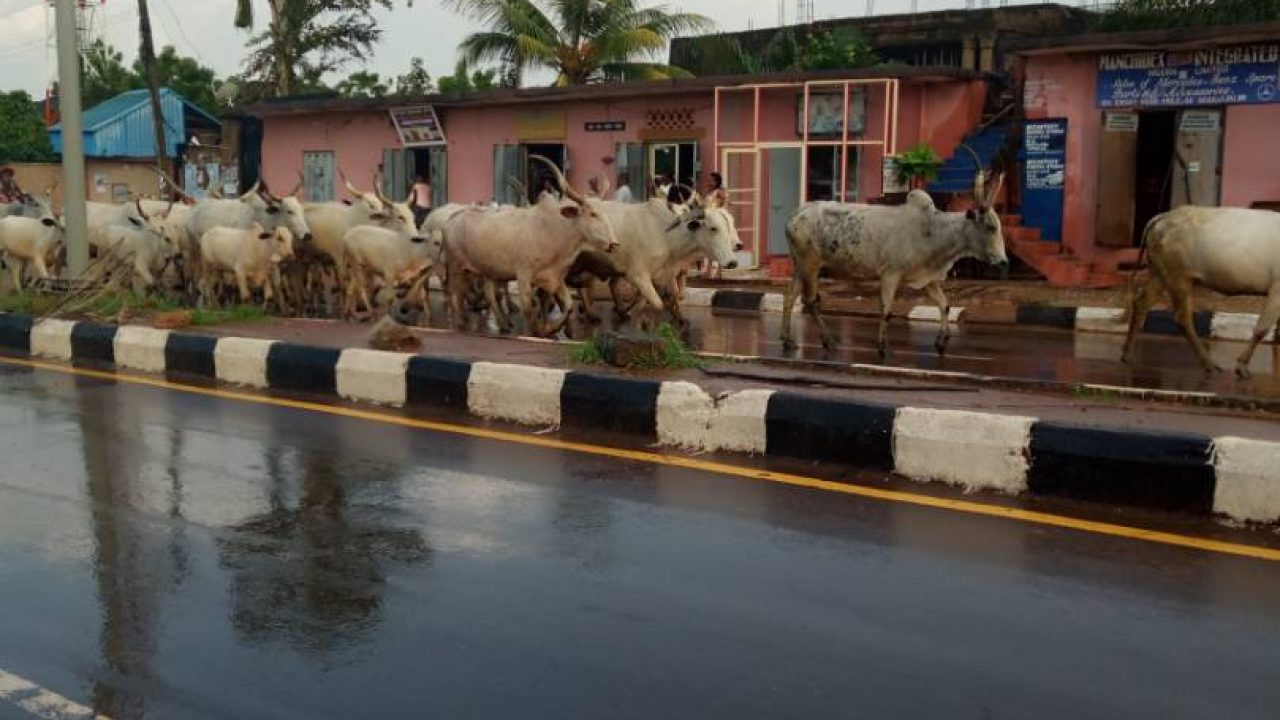 Ebonyi to set up Special Courts for herder clashes and rape cases