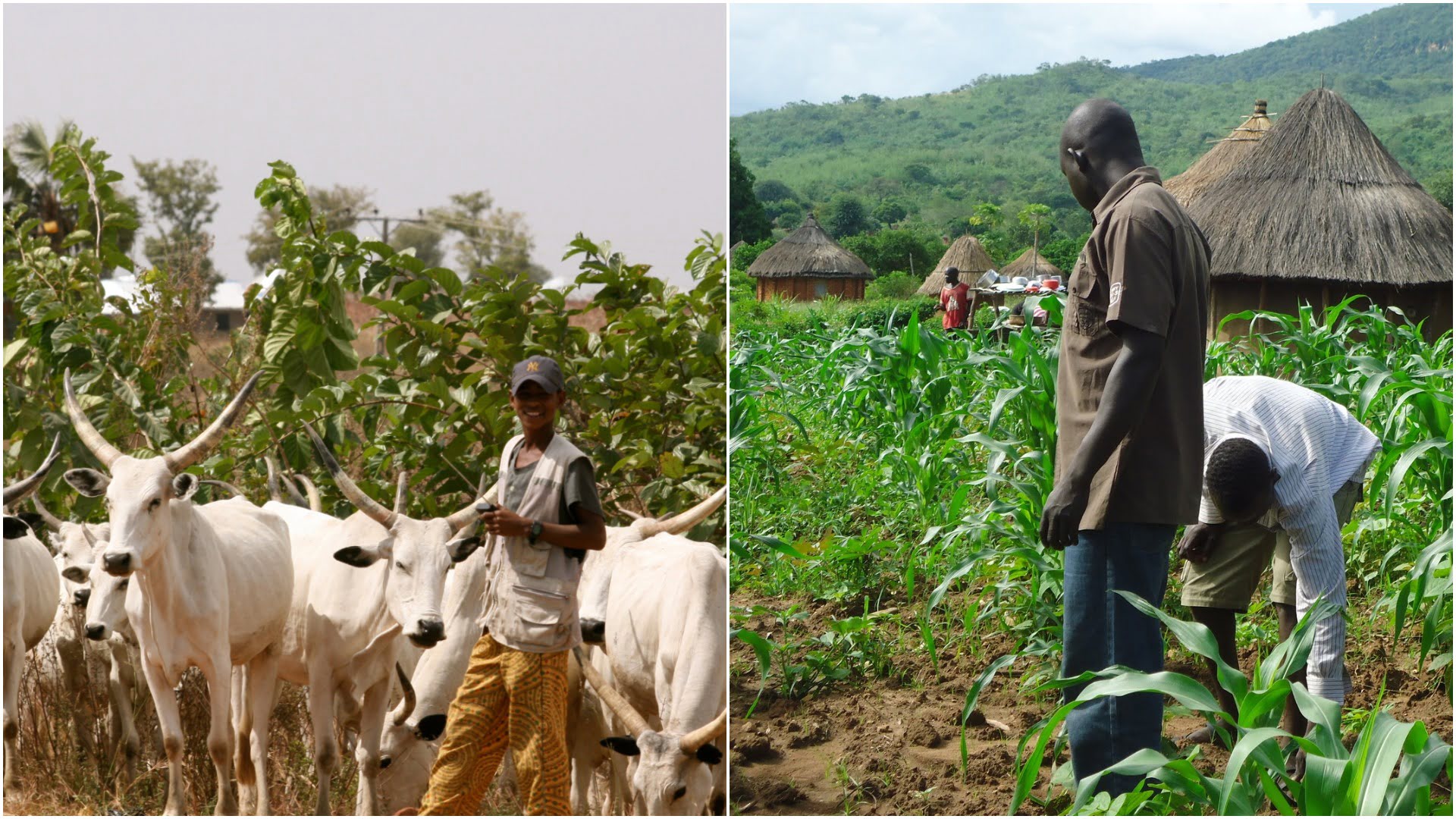 Farmers, Herders call on FG to repair broken Kunnawa Dam