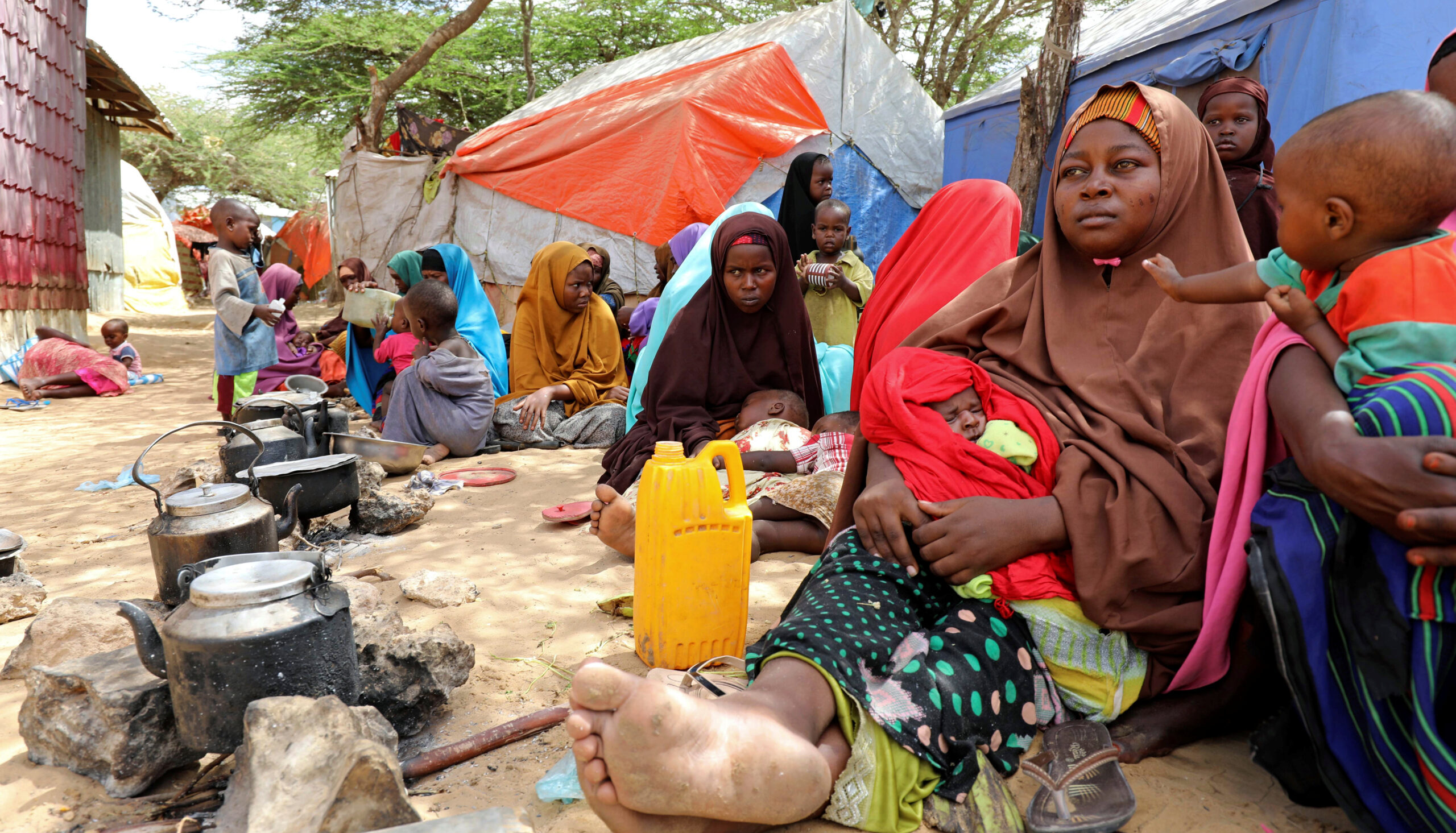 Boko Haram: Plights of increasing Internally Displaced Persons should be FG's top priority - Senator Ndume