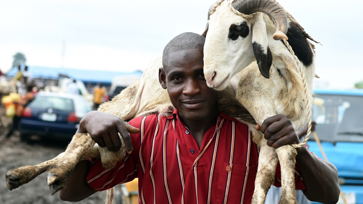 Sallah: Cost of food items, livestock drop