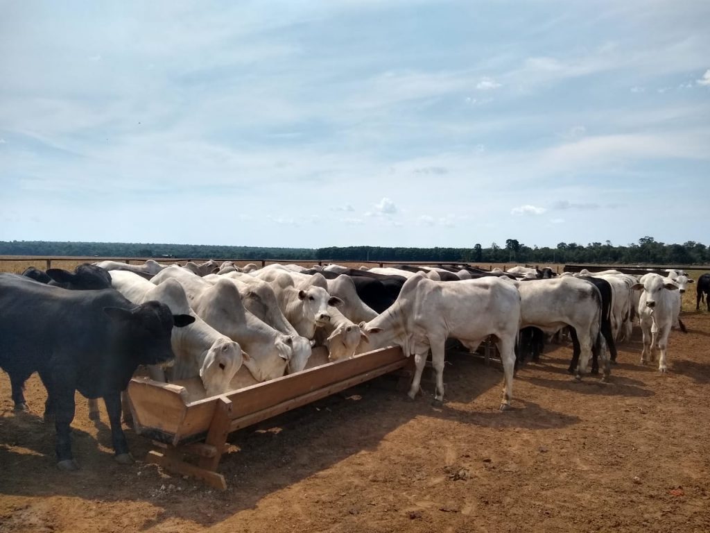 RUGA: Emulate Gov. Ganduje, Dako charges Northern Governors